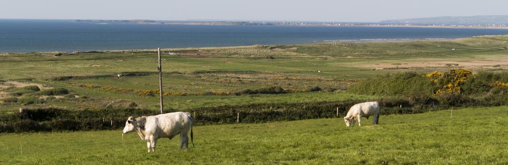 Fort Farmhouse B&B Castlegregory Exterior photo