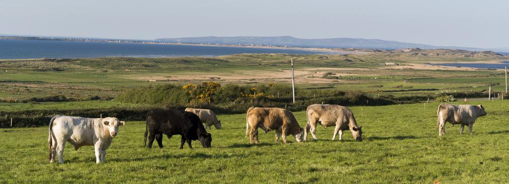 Fort Farmhouse B&B Castlegregory Exterior photo