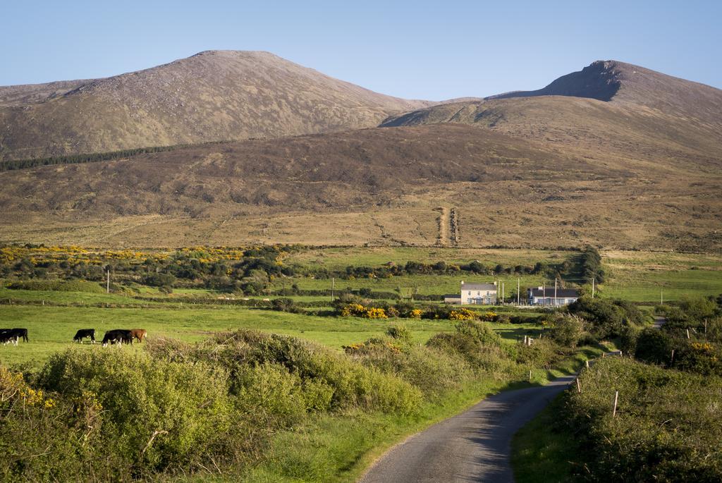 Fort Farmhouse B&B Castlegregory Exterior photo